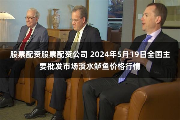 股票配资股票配资公司 2024年5月19日全国主要批发市场淡水鲈鱼价格行情