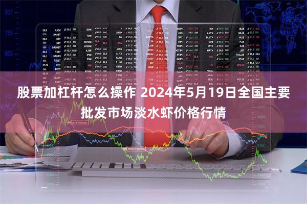 股票加杠杆怎么操作 2024年5月19日全国主要批发市场淡水虾价格行情