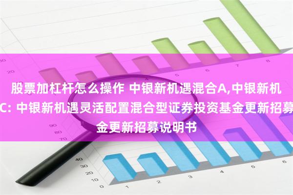 股票加杠杆怎么操作 中银新机遇混合A,中银新机遇混合C: 中银新机遇灵活配置混合型证券投资基金更新招募说明书