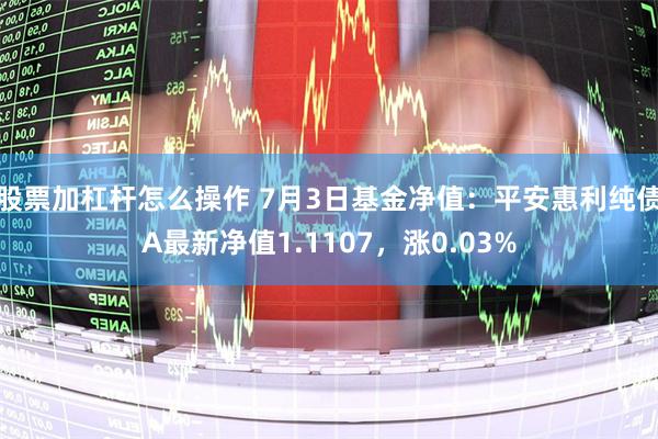 股票加杠杆怎么操作 7月3日基金净值：平安惠利纯债A最新净值