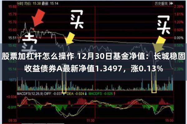 股票加杠杆怎么操作 12月30日基金净值：长城稳固收益债券A