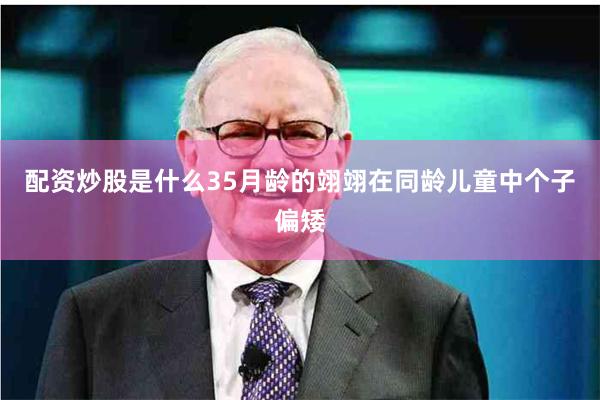 配资炒股是什么35月龄的翊翊在同龄儿童中个子偏矮