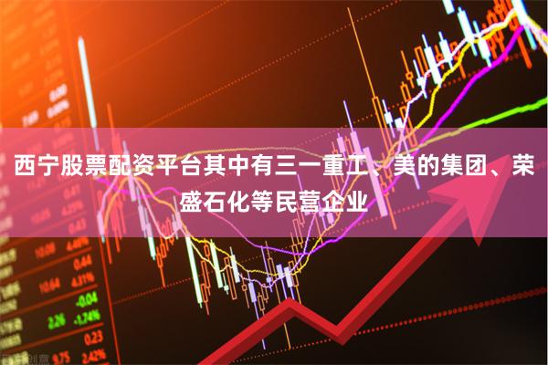 西宁股票配资平台其中有三一重工、美的集团、荣盛石化等民营企业 西宁股票配资平台其中有三一重工、美的集团、荣盛石化等民营企业